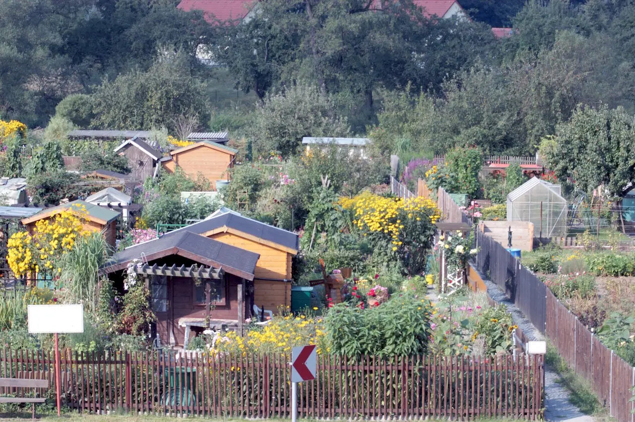 Foto einer Kleingartenkolonie